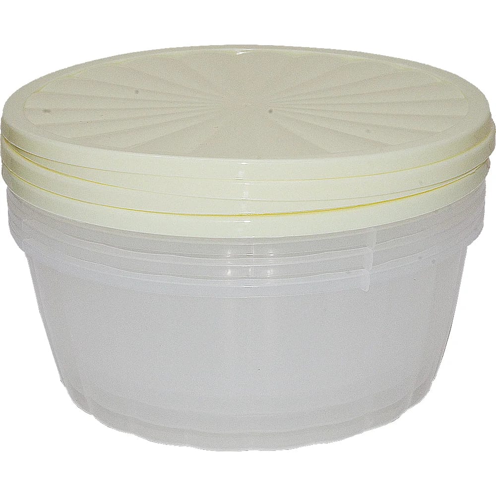 CRISPER set of 4 food storage containers