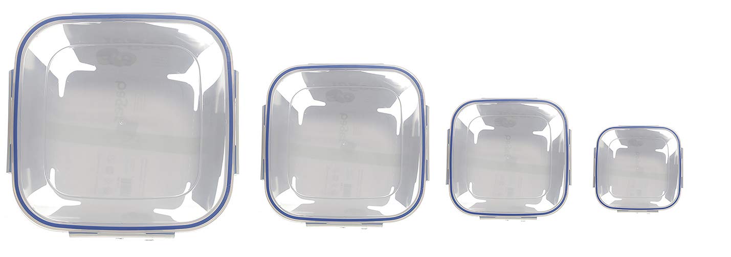 Set of 4 food containers